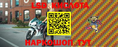 амф Кандалакша