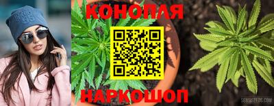 амф Кандалакша