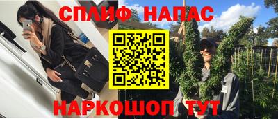 амф Кандалакша